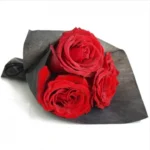 Three Red Roses