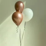 Bronze and white balloon