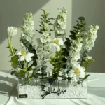 Graduation - Cloudy Morning