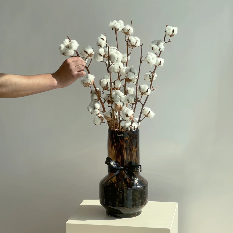 Cotton Vase II