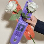 National Day - One Rose