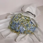 Baby Blue Bouquet