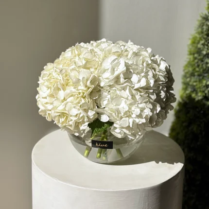 Hydrangea Vase