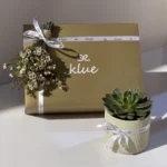 Plant & Plan Box
