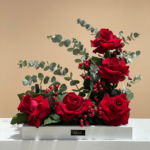 صينية كلاسيك ريد