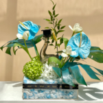 Dream Come True Gift for Graduates